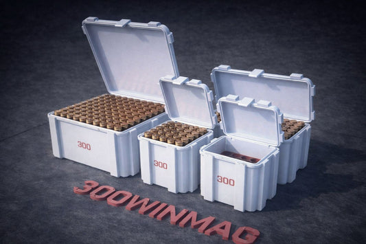 300 WIN Ammo Storage Box