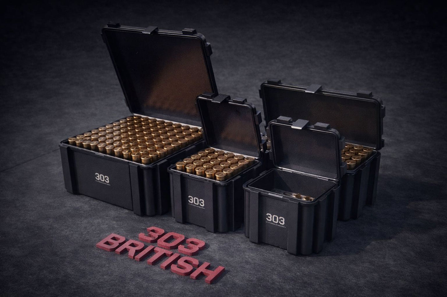 303 Ammo Storage Box
