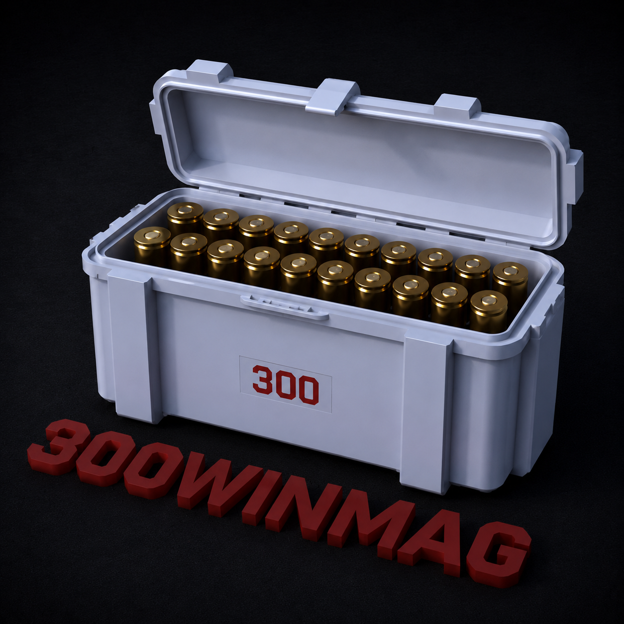 300 WIN Ammo Storage Box