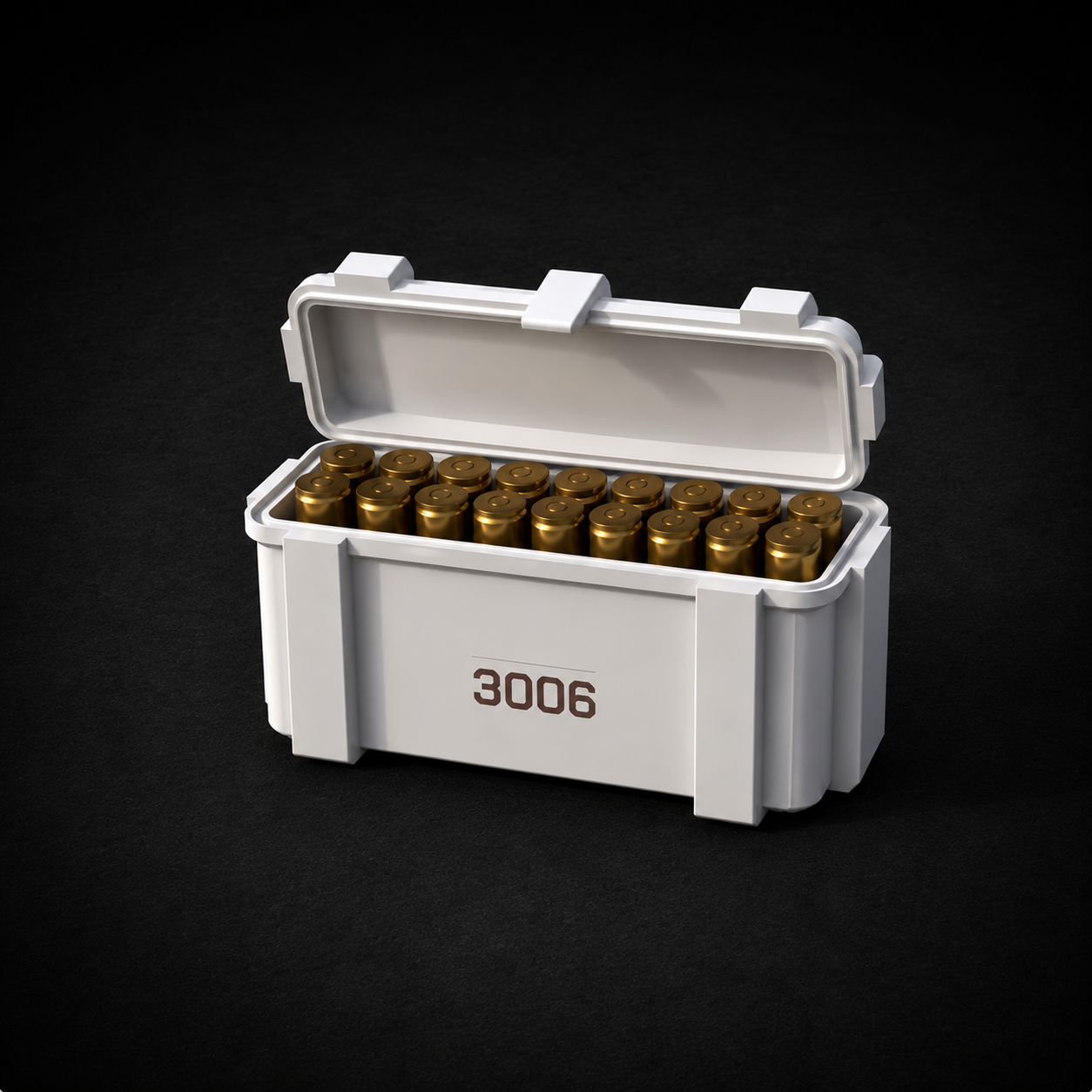 30-06 Ammo Storage Box