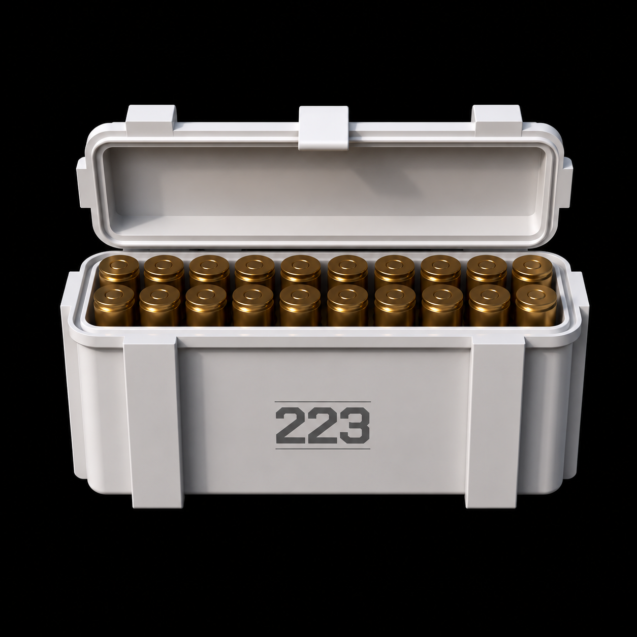 223 REM Ammo Storage Box