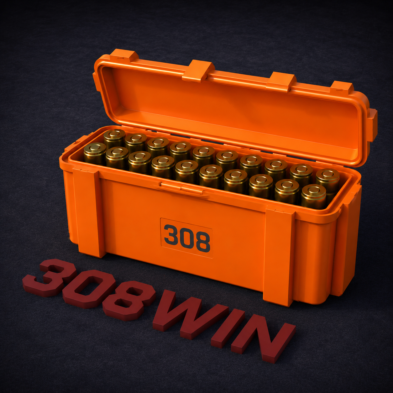 308 Ammo Storage Box