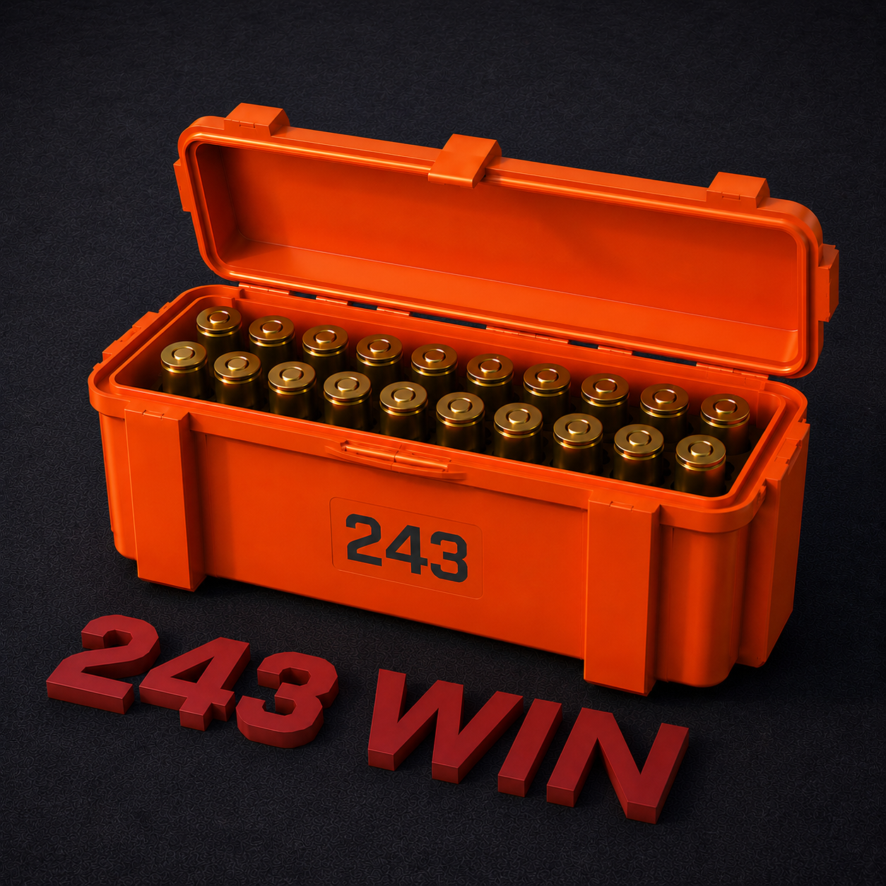 243 WIN Ammo Storage Box