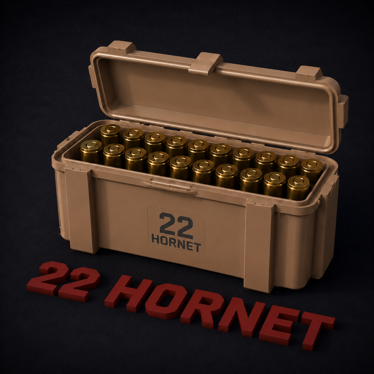 22 Hornet Ammo Storage Box